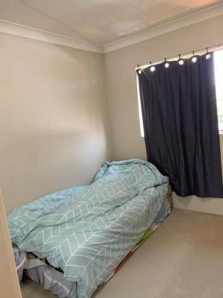 Girls only! Shared Roommate in modern room in Kingsford!