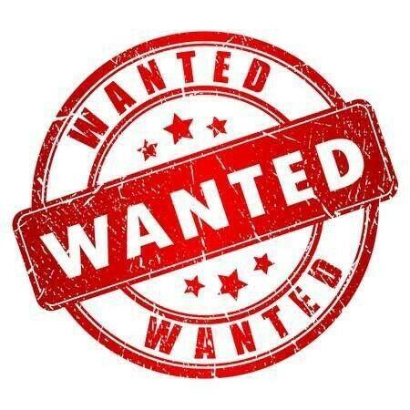 Wanted: Accomodation needed - private rental / granny flat / share house ASAP!