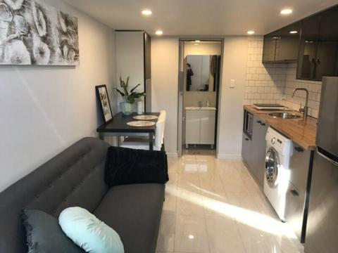 Newly renovated furnished Studio S/T or L/T