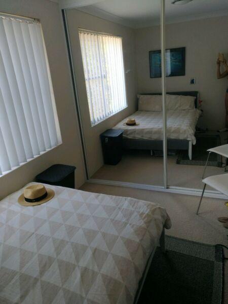 Room in Dee Why short term