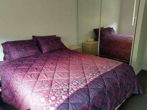Share accommodation in bright modern home in quiet location