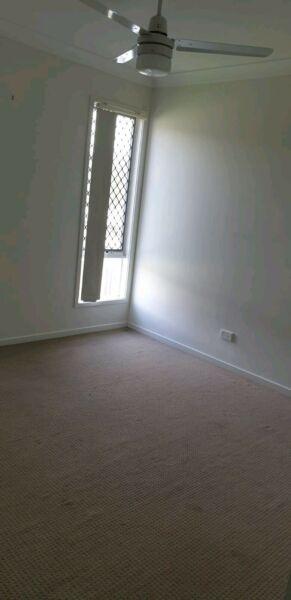 Room for rent in a 3 bedroom 2 bathroom sharehouse