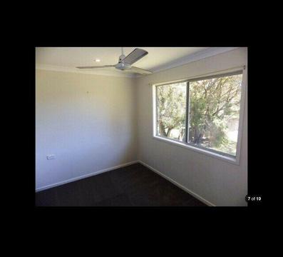 Room for rent in North Booval