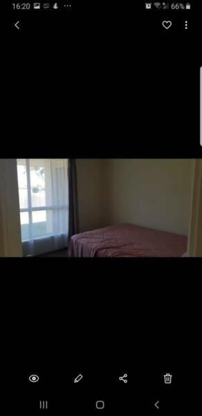 Room for rent in a 3 bedroom House