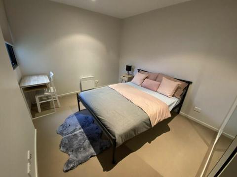 Private room for rent Single Female or Couple Hobart CBD