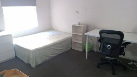 Spacious single room for rent, free tram zone