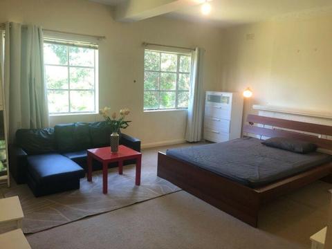One large bedroom with study available on st kilda rd, close to all