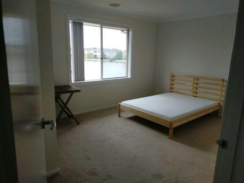 Ensuited room for rent in point cook