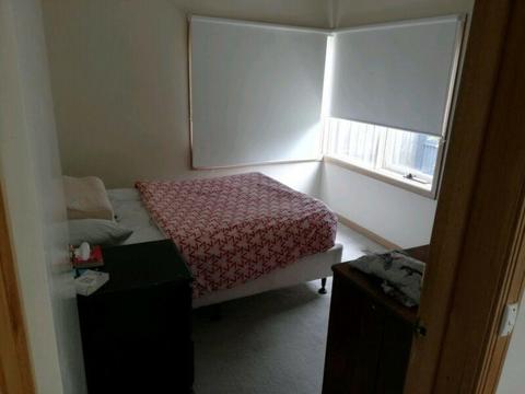 room in Elwood for short term rent