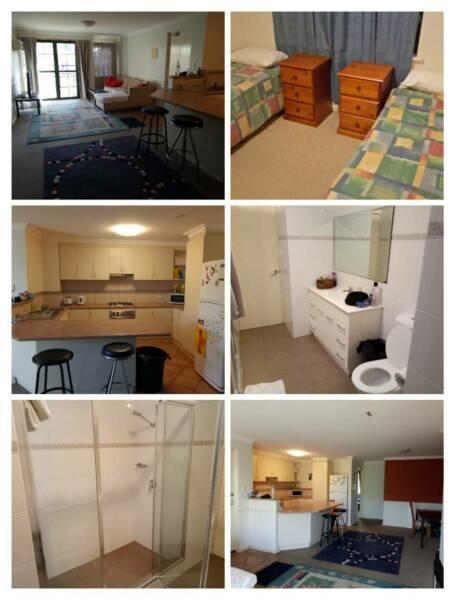 One bed in twin room east perth