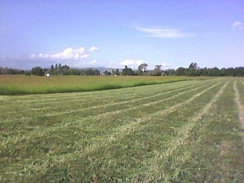 45 ACRES OF CULTIVATION