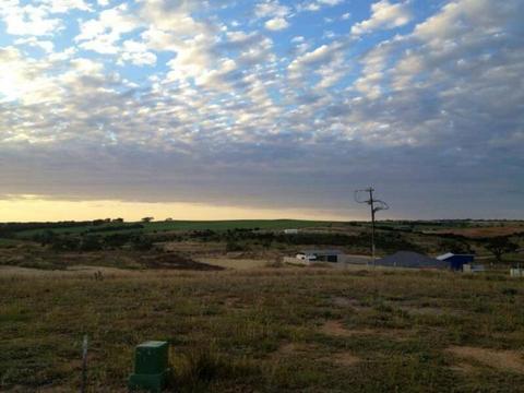 Land for Sale - Lot 850 Honeyeater Drive, Mannum Waters, SA 5238