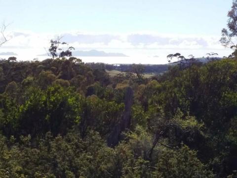 Land for sale Tasmanian East Coast.Area 1. 321.5 HA. Area 2. 15.34Ha