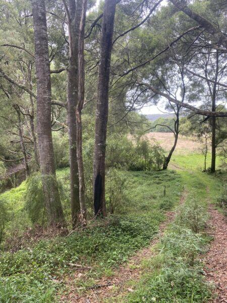 41.5 acre Bush block with river frontage camping otways
