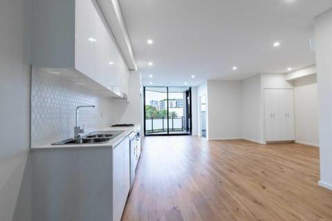 Brand New One Bedroom Study Apartment For Rent In Bustling Westmead!