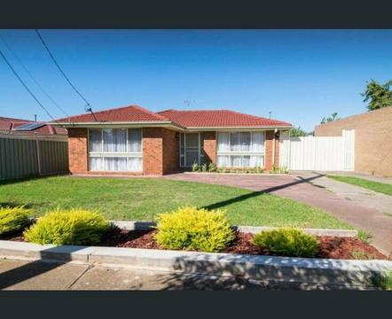 HOUSE FOR RENT IN MELTON
