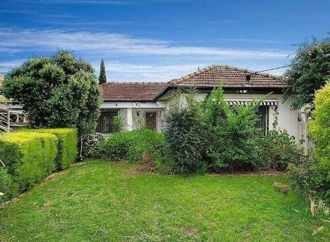 A Clean , Spacious Home on a Large Block for Rent in Pascoe Vale