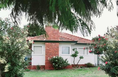 BASSENDREAMS! Coming soon lovely house for rent in Bassendean