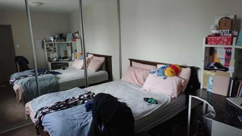 Room for rent in the CBD