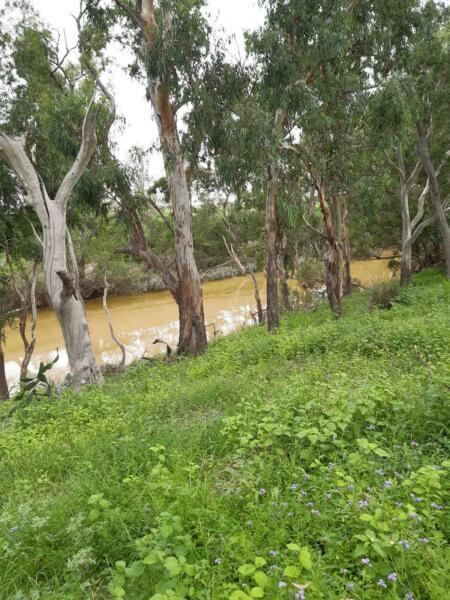 For sale 264acres house nearly 1km of river frontage