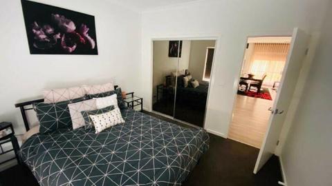 Only girls{female} rooms for rent in Tarneit