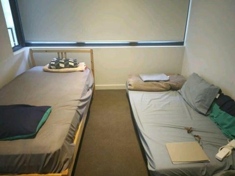 CBD Shared Accomodation in one bedroom apartment