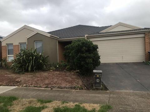 Room For Rent in Tarneit