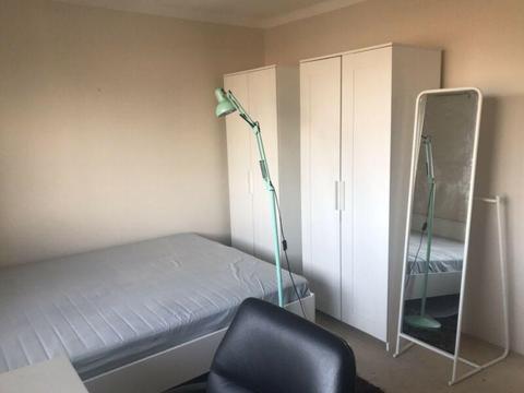 Big bright room in Kingsford for rent $230/week