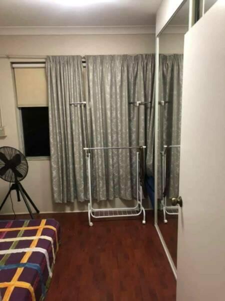 Single Room for Rent in Kogarah