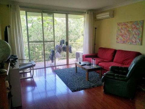 Room Available for rent at Westmead