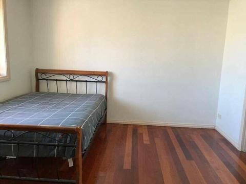 A big sunny room close to bankstown station