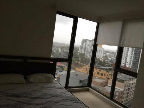 Rooms for rent in parramatta