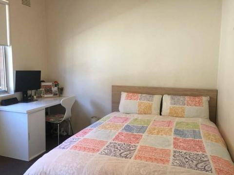 Medium sized room available in Coogee