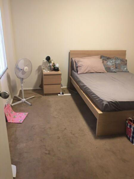 Room in Greenwich for rent