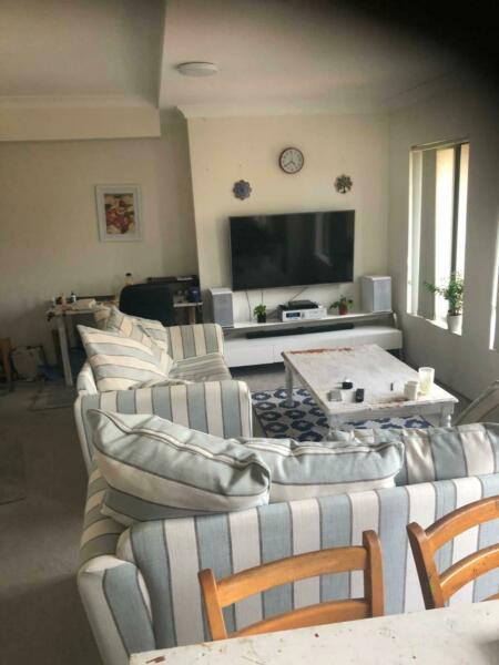 Room available in modern Redfern apartment