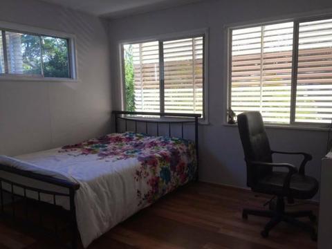 Light and spacious room for rent at Mansfield