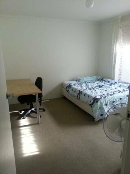 room for rent in adelaide city