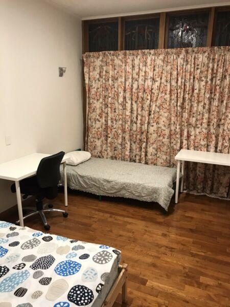 Shared room for rent in nice suburb (Free bus to city)