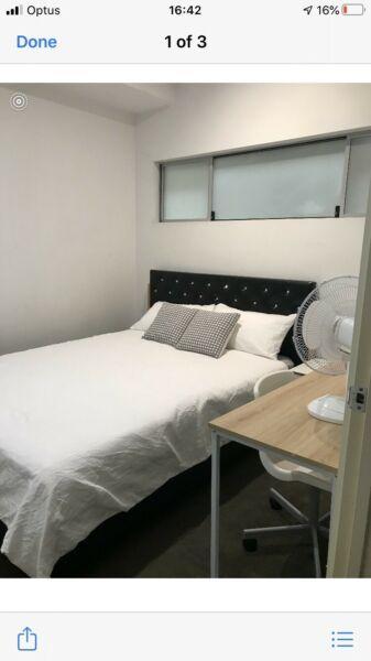 Shared Fully furnished apartment in CBD