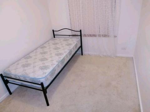 Room for rent/ house sharing/ flat sharing