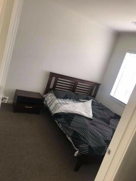 Room for rent in Cranbourne north
