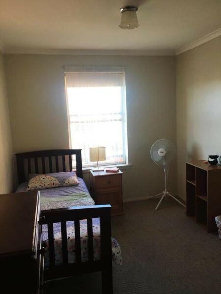 Single Room for rent
