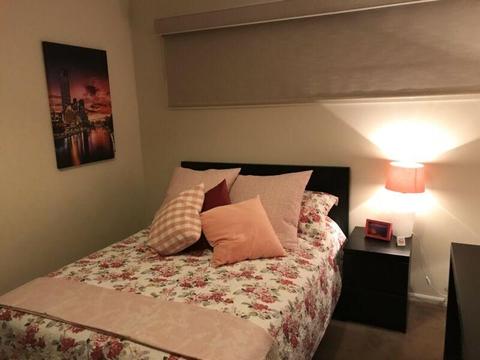 Luxury 5-Star Family-Friendly/Student Living (P)