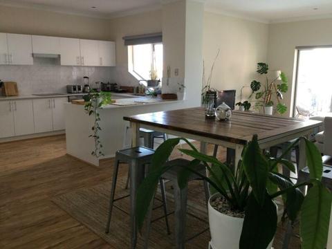 F/F Large Single Room available NOW in East Perth (ALL bills incl.)