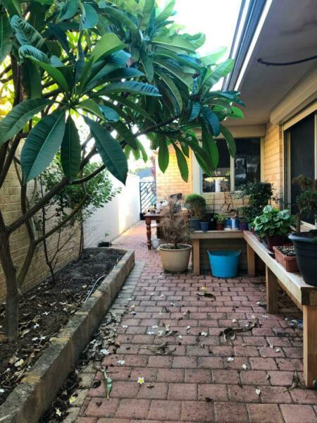 Room for Rent in Coogee Home $120pw bills