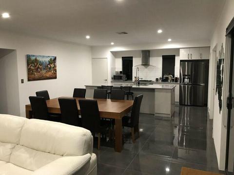 Room for rent close to Coogee beach and Fremantle!!!