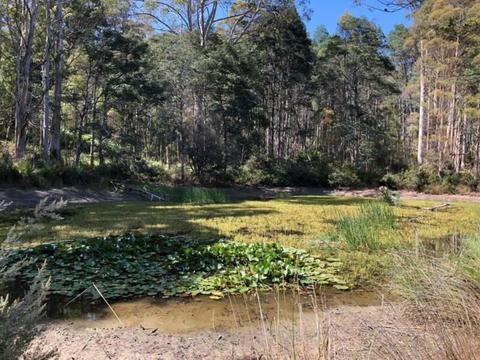 Land for Sale Beautiful Forest & Creek in Jackeys Marsh Tasmania