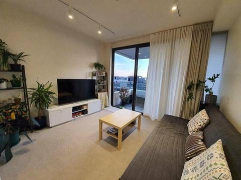 Stylish modern two bedroom unit next to Cahill park & Cooks river