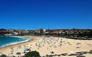 3 MONTHS RENT IN COOGEE BEACH!