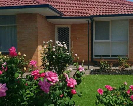 Rent Available 3 Bedroom House $420pw - Negotiable 6 Month Lease